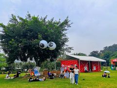 -广西壮族自治区药用植物园