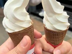 -富豪雪糕车流动点(尖沙咀)