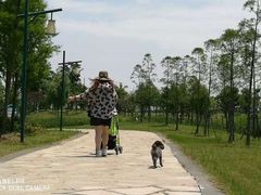 -同里国家湿地公园