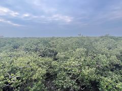 -北海金海湾红树林生态旅游区