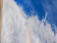 -紫燕百味鸡(同人店)