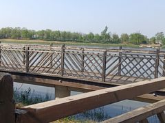 -武清南湖绿博园