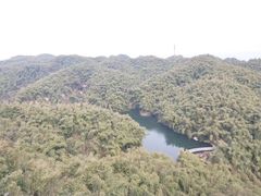 -沐川竹海旅游景区