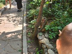 -山西通天峡景区