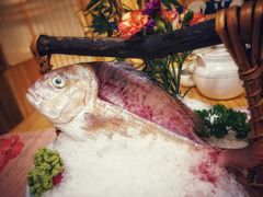 鲷鱼刺身-鲔屋寿喜烧