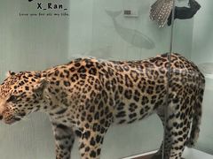 -国家自然博物馆