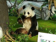 -西安大唐西市博物馆