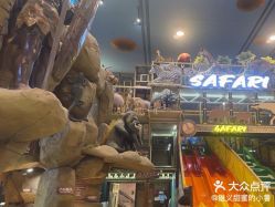 -卡通尼·Safari非洲探索乐园·生日会(金桥国际商业广场店)