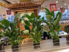 -大清花饺子(山庄店)