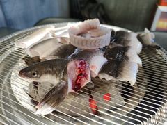 -本炙炭烤·蒲烧活鳗料理店(金沙洲店)