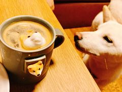 -柴务处·柴犬主题狗咖