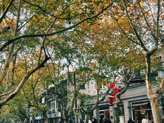 -弗兰克牛排西餐厅Ribone steak house(柠檬花园店)