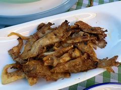 -鼎原力量东北吊炉烧烤(临河街店)