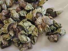 白灼狗抓螺-哈味食店(外伶仃岛店)