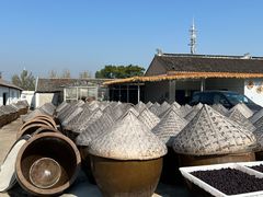 -苏州市吴中区光福窑上花果蜜饯厂