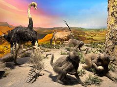 -国家自然博物馆