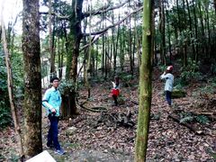 android_upload_pic-广州市石门国家森林公园
