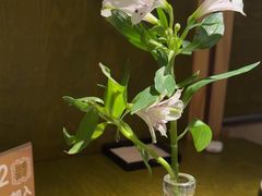 -一坐一忘云南菜(卓悦中心)