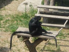 -大连森林动物园