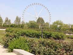 -石家庄市植物园