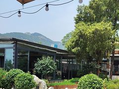 -蘇河湾·新鲁菜·泰山宴(泰山店)