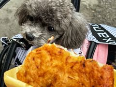 -安庆柴火馄饨(马道街店)