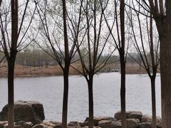 -马家湾湿地公园