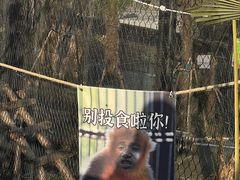 -武汉动物园
