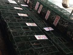 -荔城生鲜盛宴(番禺旗舰店)