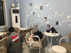 -喵的天空名猫咖啡馆·撸猫·猫舍·用品