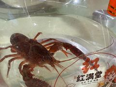 -红满堂·龙虾·牛蛙·淮扬菜(濠北路店)
