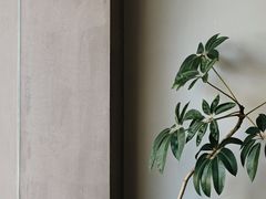-溯洄咖啡VORTEX COFFEE