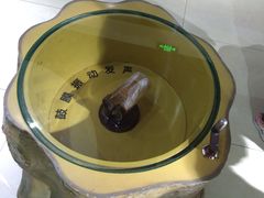 -上海昆虫博物馆