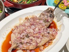 -柴门·头啖汤(天安千树店)