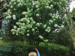 -杭州城北体育公园