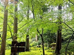 -三千院