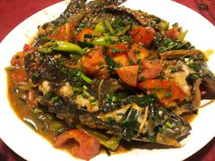 遇龙河剑骨鱼—阳朔特色啤酒鱼-生态苑农庄(十里画廊遇龙河店)