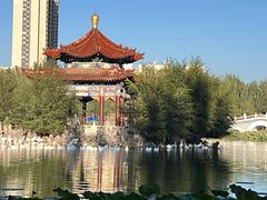 -青城公园