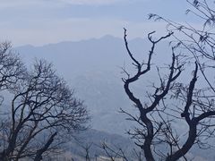 -青城山