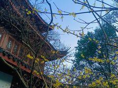 -宋宴(虎跑店)