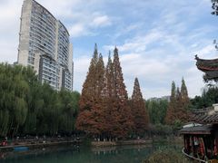 -温江公园