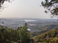 -东莞市大岭山森林公园