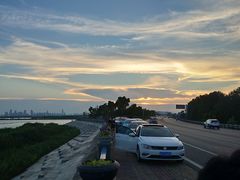 景点-合肥滨湖国家森林公园