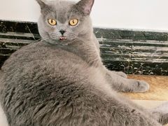 -Catmate·猫肥家润(金润铂宫店)