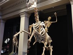 -墨尔本博物馆(Melbourne Museum)