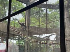 -昆明动物园