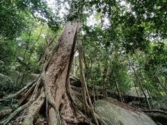 -七仙岭温泉国家森林公园