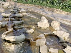 -成都市活水公园