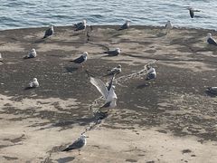 -星海广场