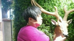 -V-STAR威斯达•高级私人定制